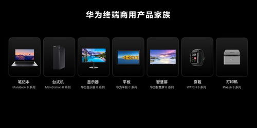 華為消費者業(yè)務(wù)更名為華為終端業(yè)務(wù) 全面進(jìn)軍商用領(lǐng)域
